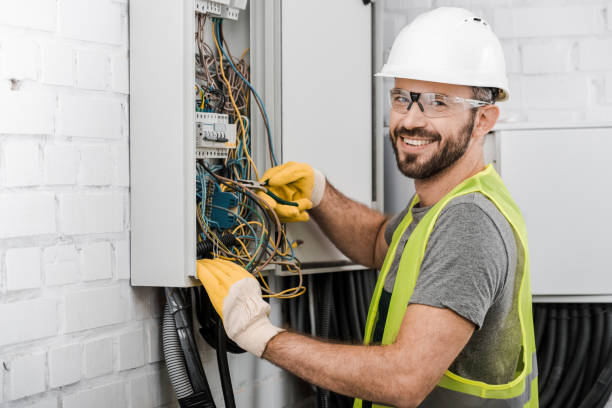 Best Electric Panel Repair  in Stapleton, AL